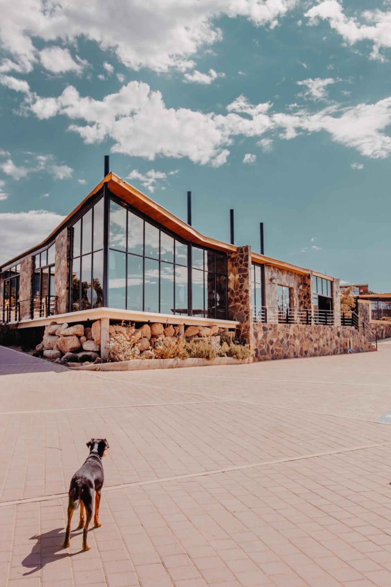 Contemplacion Resort & Spa Valle de Guadalupe Extérieur photo