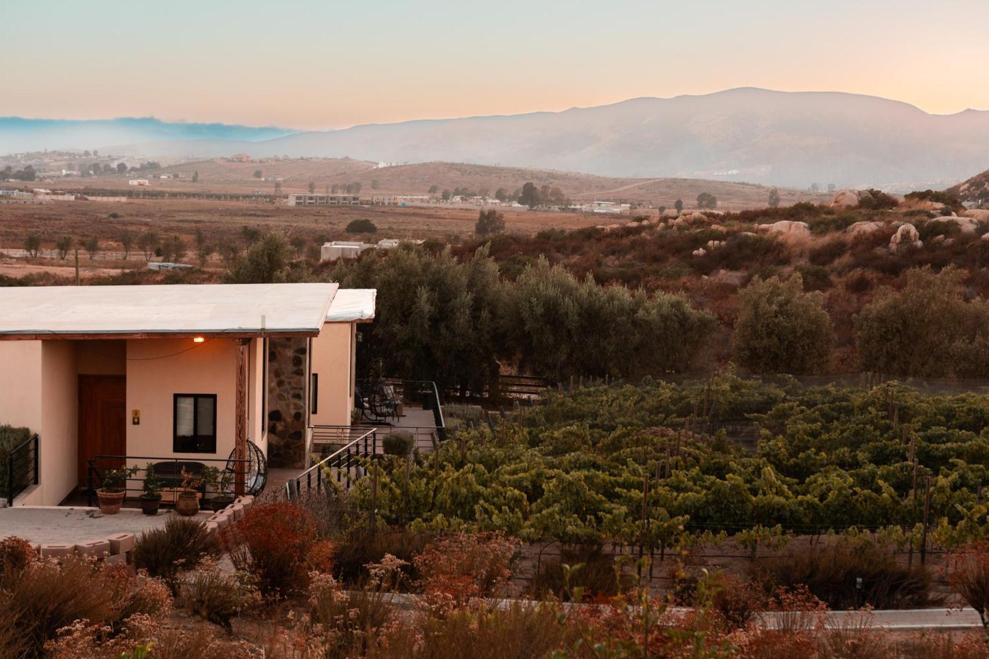 Contemplacion Resort & Spa Valle de Guadalupe Extérieur photo